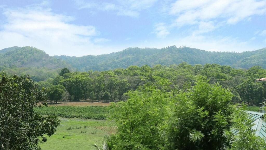 Hill Green Home Stay Thekkady Exteriér fotografie