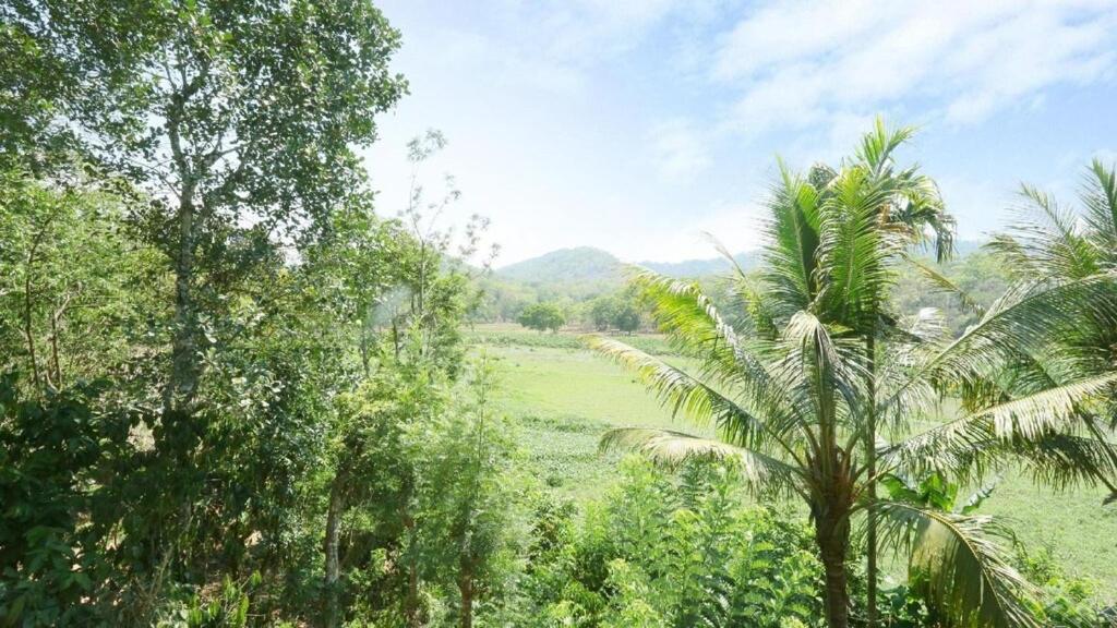 Hill Green Home Stay Thekkady Exteriér fotografie